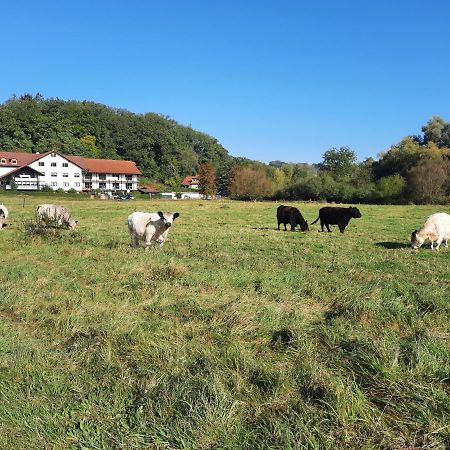 Landgasthof Rotlipp Gaestezimmer Ortenberg  Extérieur photo