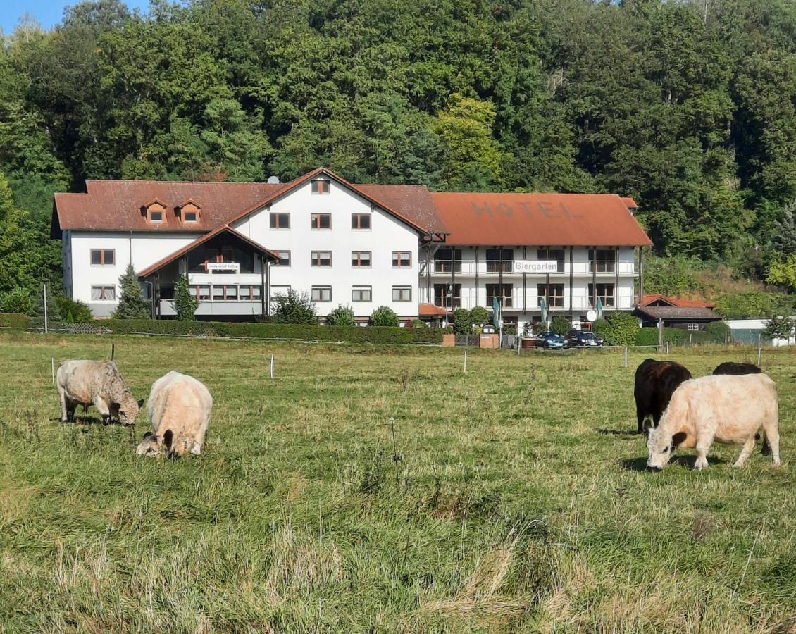 Landgasthof Rotlipp Gaestezimmer Ortenberg  Extérieur photo